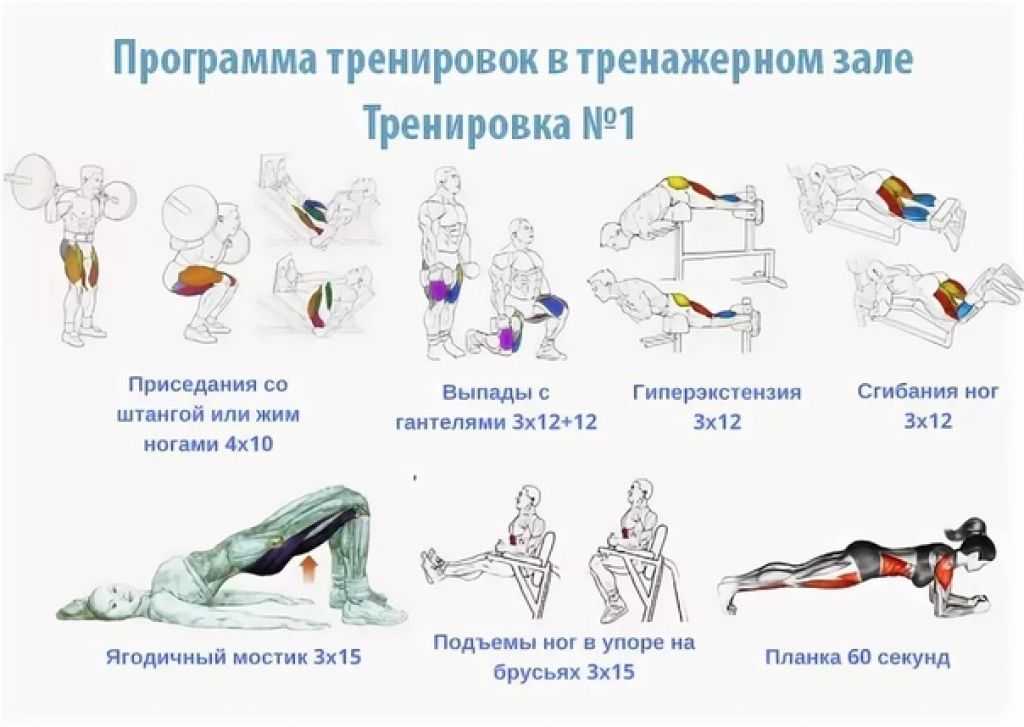 Силовые упражнения в домашних условиях для девушек: Силовые тренировки