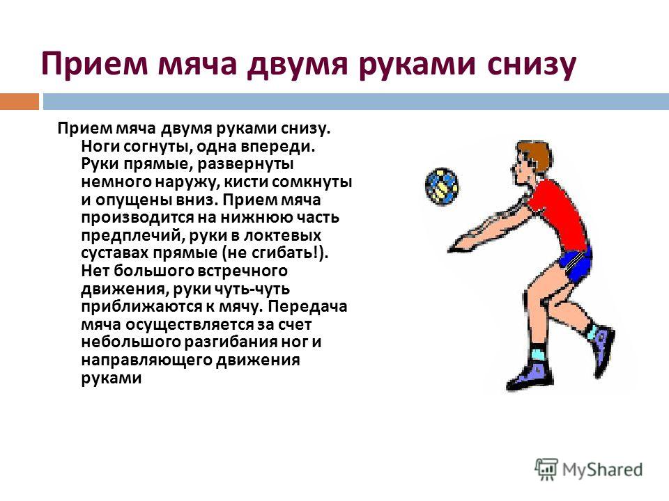 План тренировок по волейболу для начинающих