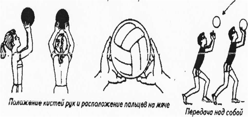 Положение рук. Правильное положение кистей и пальцев в волейболе. Положение рук при подаче волейбол. Постановка рук в волейболе. Позиция рук в волейболе.