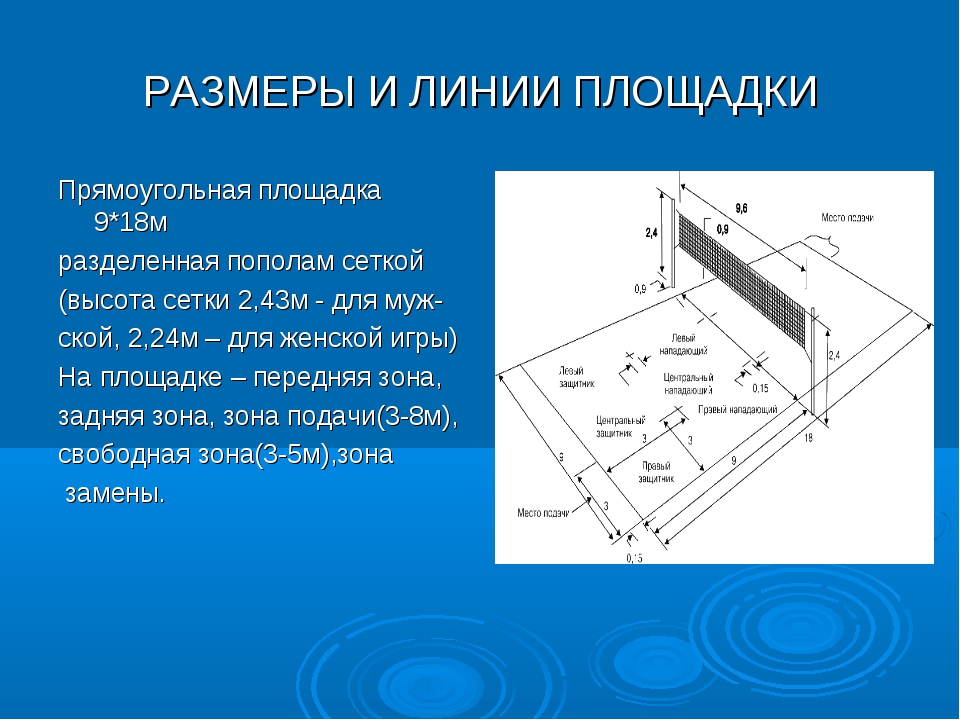 Площадка волейбольная схема с зонами и линиями