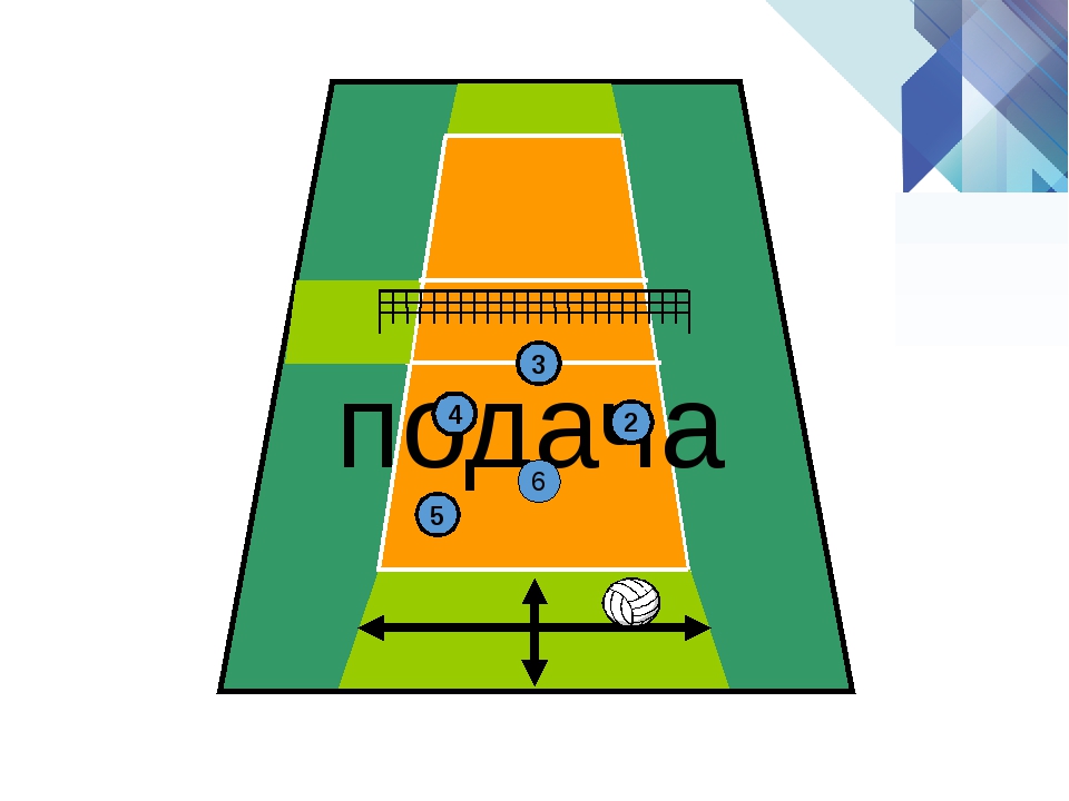 Рисунок волейбольной площадки с игроками