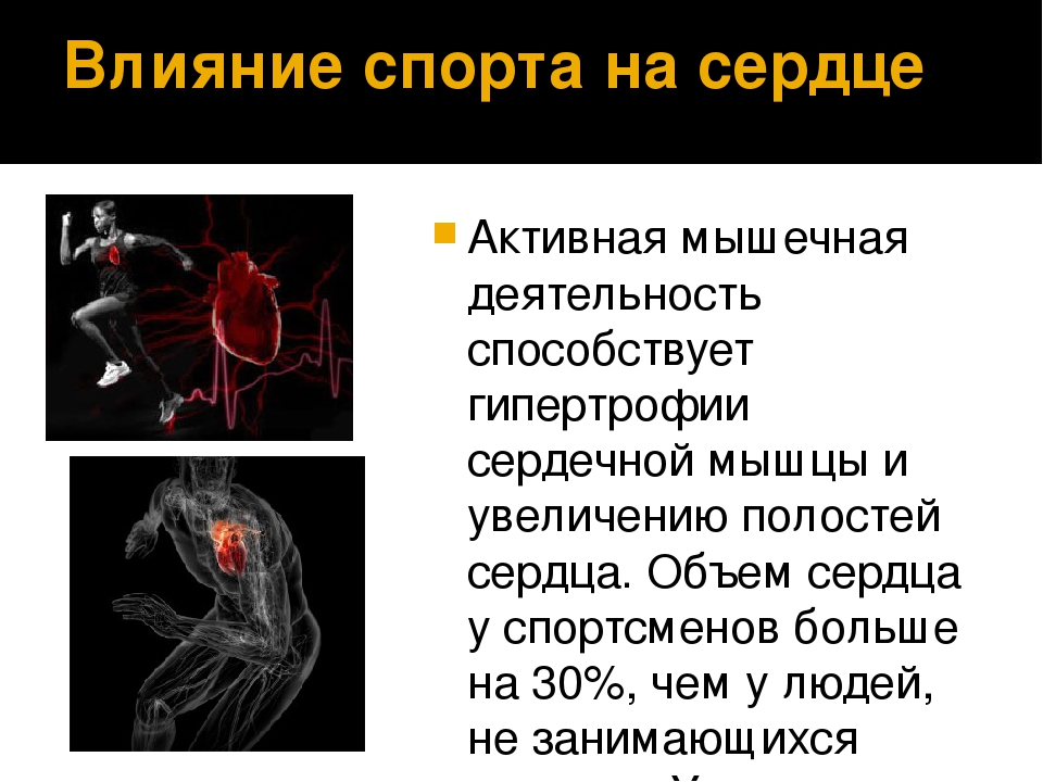 Действие мышцы. Влияние спорта на сердце. Тренировка сердца презентация. Влияние физических упражнений на сердце. Влияние спорта на сердечную мышцу.