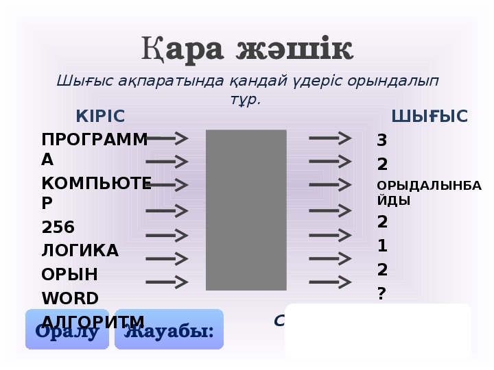 Проблема множественности вариантов модели черного ящика на примере компьютера