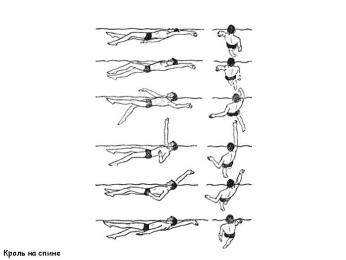 Плавание кролем на спине. Стиль плавания Кроль на спине. Кроль на спине техника плавания. Фазы гребка в кроле на спине. Техника плавания стилем Кроль на спине.