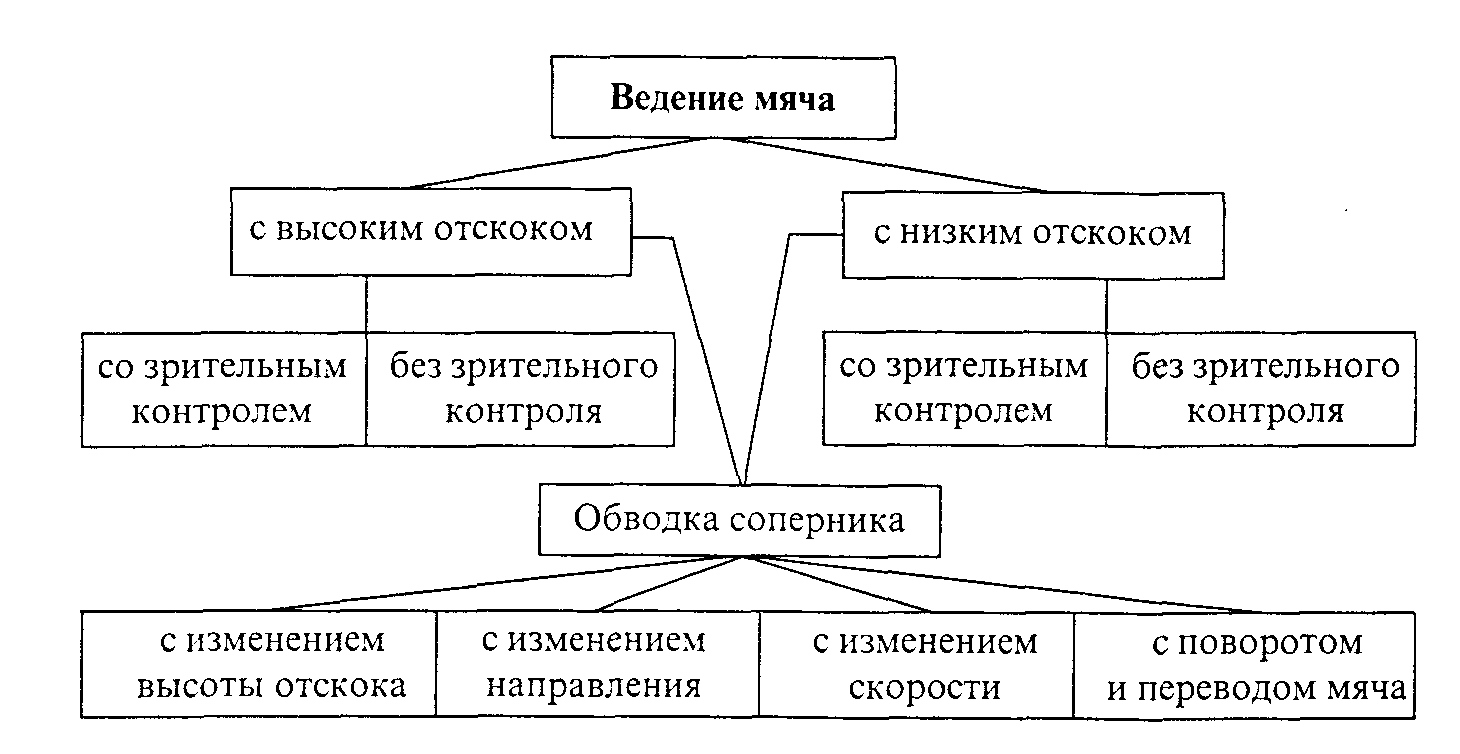 Методика обучения ведения мяча в баскетболе: Баскетбол методика обучения  ведения мяча