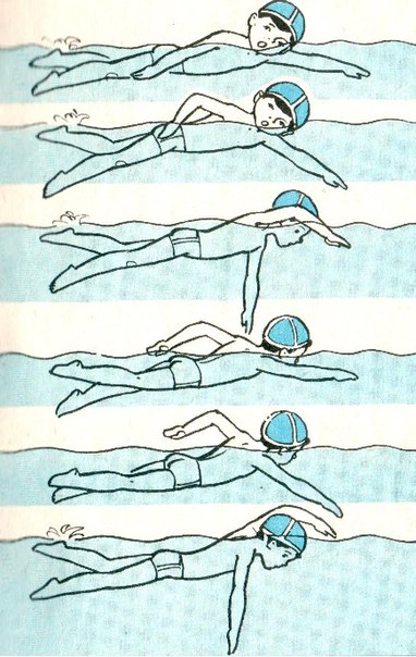 План конспект урока по плаванию брассом