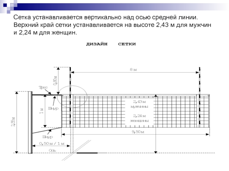 Как нарисовать волейбольную сетку