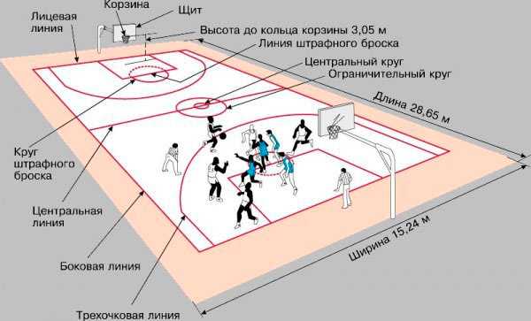 Реферат Правила Игры В Волейбол