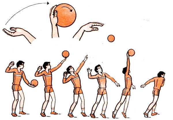 Правила Спортивной Игры Волейбол Реферат