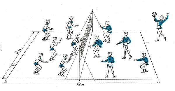 Схема расположения игроков в волейболе